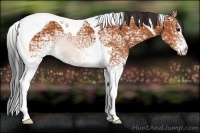 Horse Color:White Spotted Bay Ice Tobiano