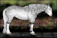 Horse Color:Silver Buckskin Chinchilla Ice Splash 