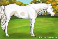 Horse Color:Smoky Creme Splash Tobiano 
