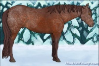 Horse Color:Chocolate Brown 