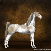 Horse Color:White Spotted Liver Red Dun Sabino Rabicano 