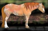Horse Color:Chestnut Ice 