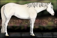 Horse Color:Palomino Ice Pearl Onyx 