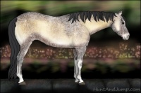 Horse Color:Brown Ice Onyx 