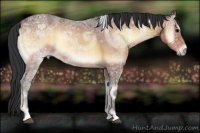 Horse Color:Bay Ice Onyx 