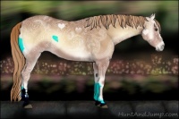 Horse Color:Red Onyx Ice Sabino