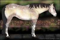 Horse Color:Bay Ice Onyx