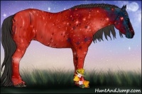 Horse Color:ERROR: UNKNOWN ANOMALY