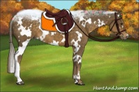 Horse Color:White Spotted Chocolate Palomino
