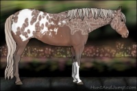 Horse Color:Silver Brown Ice Appaloosa 