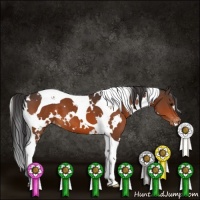 Horse Color:White Spotted Bay Tobiano Varnish