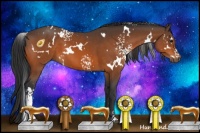 Horse Color:White Spotted Brown 