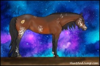 Horse Color:White Spotted Bay 