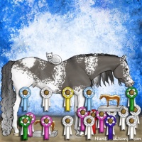 Horse Color:White Spotted Grullo Appaloosa