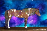 Horse Color:Nacre White Spotted Bay Appaloosa
