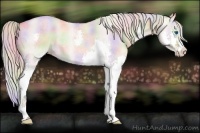 Horse Color:Nacre Silver Classic Champagne Roan Dun Splash