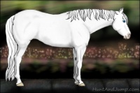Horse Color:Silver Perlino Ice Dun Splash Frame 