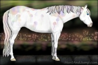 Horse Color:Nacre Silver Perlino Dun Splash 