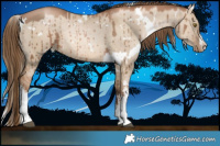 Horse Color:White Spotted Liver Red Dun Pearl Brindle 