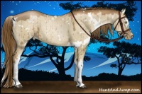 Horse Color:White Spotted Liver Red Dun Pearl Brindle 