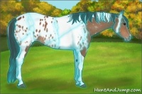 Horse Color:Thunderstruck Bay Tobiano Appaloosa