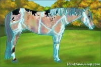 Horse Color:Nacre Thunderstruck Bay Ice Tobiano 