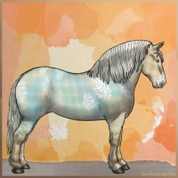 Horse Color:Plaid  White Spotted Chocolate Palomino Dun 