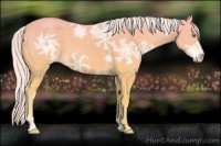 Horse Color:Cremello Ice 