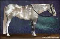 Horse Color:White Spotted Chocolate Palomino Ice Sabino Rabicano