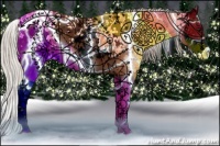 Horse Color:White Spotted Silver Grullo Ice Splash Appaloosa