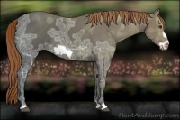 Horse Color:Liver Chestnut Ice Frame 