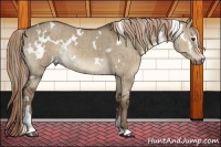 Horse Color:White Spotted Liver Red Dun Sabino Brindle