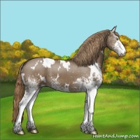 Horse Color:White Spotted Liver Red Dun Brindle 
