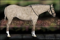 Horse Color:Silver Grullo Ice 