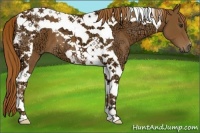 Horse Color:Chestnut Ice Tobiano