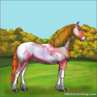 Horse Color:Painted Watercolor White Spotted Liver Red Onyx Ice Tobiano