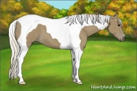 Horse Color:Silver Smoky Black Tobiano