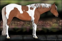 Horse Color:Silver Brown Roan Tobiano