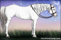Horse Color:Liver Red Dun Snowflake Varnish 