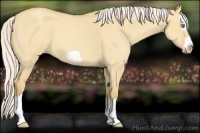 Horse Color:Silver Sable Cream Champagne Roan Dun Splash Frame 