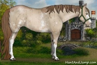 Horse Color:White Spotted Liver Red Dun Pearl