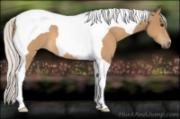 Horse Color:Silver Buckskin Tobiano
