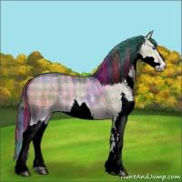 Horse Color:Plaid  White Spotted Liver Red Dun Splash 