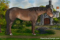 Horse Color:Gray Liver Chestnut Sabino 
