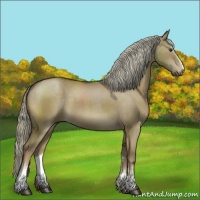 Horse Color:White Spotted Chocolate Palomino Dun 