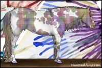 Horse Color:Nacre Plaid Liver Red Dun Sabino Tobiano