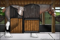 Horse Color:White Spotted Liver Red Roan Rabicano 