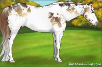 Horse Color:White Spotted Liver Red Onyx