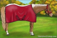 Horse Color:Chestnut Sabino Appaloosa