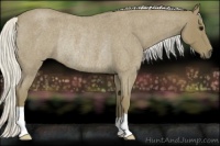 Horse Color:Silver Smoky Blue Roan Rabicano 